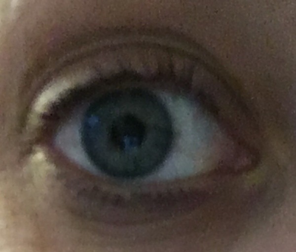 LVL lashes