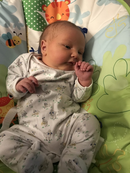 January 18 #7 The one with all the arrivals