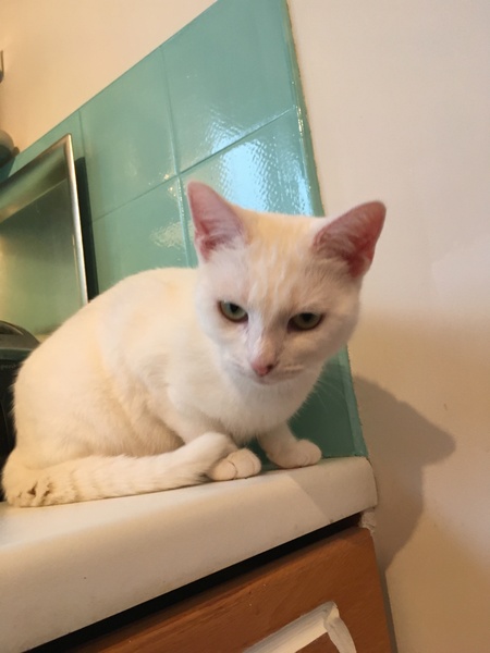 Meet Alaska