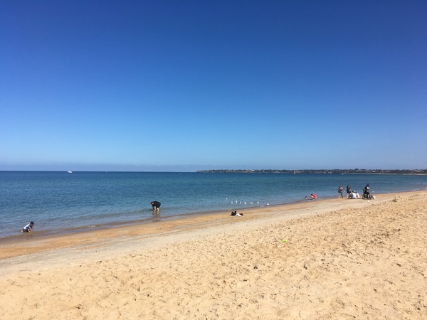 Which would you choose and why?... Auckland, Sydney or Melbourne