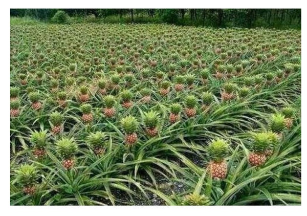 To have reached the age of 38 without knowing