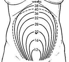 August 2018 #3 - booking appointments and 12 week scans!