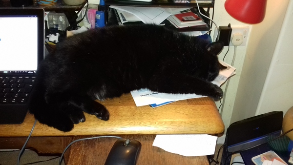 Keeping our Fru Year Resolutions! Frugal January thread two (already) - all welcome!