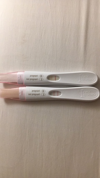 October 2018 baby bus