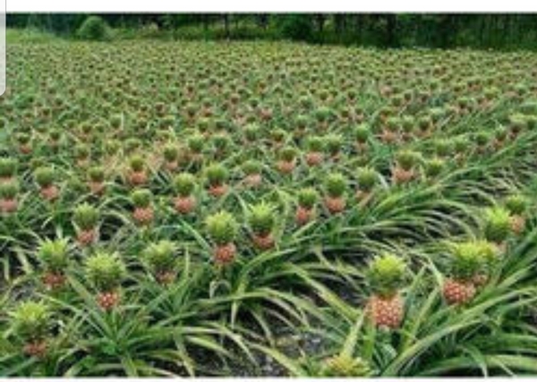 To have reached the age of 38 without knowing