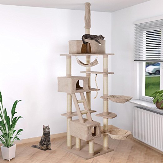 Show me your cat trees!