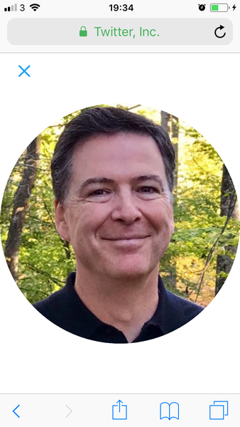 All Trump sees is green. All we see is a traitorous orange menace. Who is right? Place bets now!! (Trump continued)