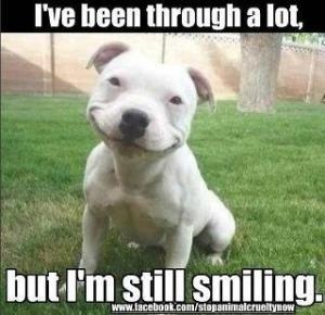 Inspirational women, kittens and puppies thread