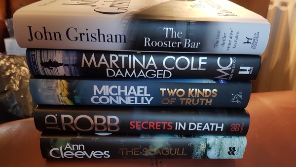 What books did you get for Christmas?
