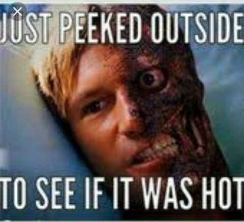 Join me in getting rid of at least one thing a day decluttering challenge?