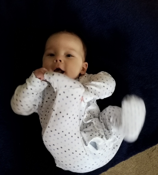 To clap my hands and skip about in a elephantine manner?