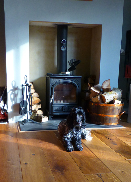 Which log burner do you have?