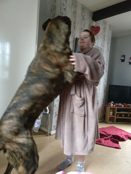 To cheer me up with photos of your pet? The first photo you have and the last?