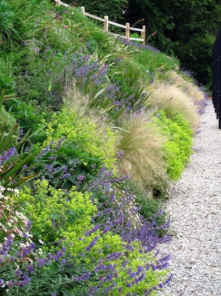 Any ideas what's in this border?