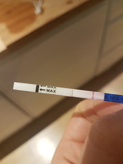 Pregnancy test :(
