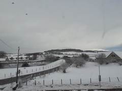 New Year, New Start Week 2: This WoE works!