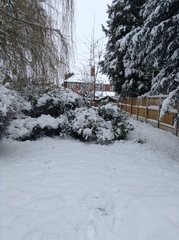 New Year, New Start Week 2: This WoE works!