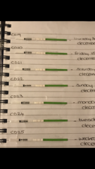 OPK's? Always two lines? Am I broken?!