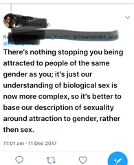 Lesbian women should be open to having sex with transwomen but straight men is a different matter