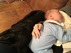 To cheer me up with photos of your pet? The first photo you have and the last?