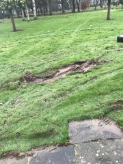 Ruined lawn