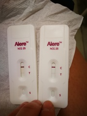 Pregnancy tests