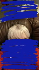 Head shave to go grey