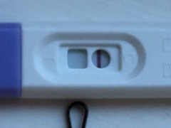 13DPO - pretty sure it’s a BFN.