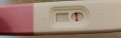 TTC after pregnancy loss. Thread 16. New Year, new hope for all!