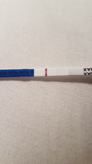 Positive on IC