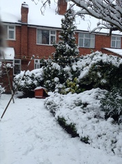 New Year, New Start Week 2: This WoE works!