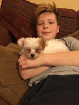 How do you house train a small breed puppy in this weather when they don't wan to go out?