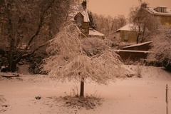 New Year, New Start Week 2: This WoE works!