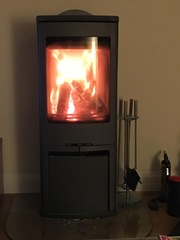 Which log burner do you have?