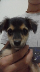 To cheer me up with photos of your pet? The first photo you have and the last?