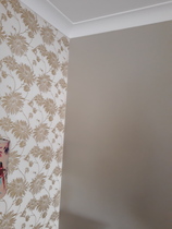 F&B downcloth or Dulux Jurassic stone? Paint recommendations needed...