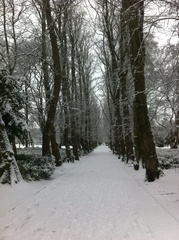 New Year, New Start Week 2: This WoE works!