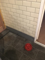 New house.  New kitchen.  Very limited time!