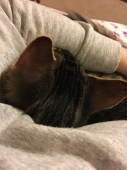 Can I show off my new little boy ? Help with names please.