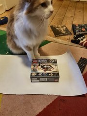 Let me see your fuzzy overlords?