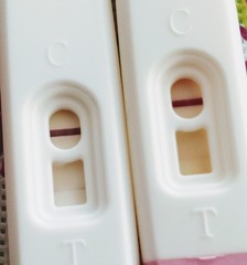 TTC after recurrent miscarriage thread 2 - we're not giving up