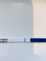 Can you see a line?