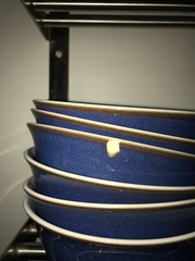 To ask if Denby chips ?
