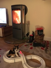 Which log burner do you have?