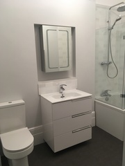 Bathroom refurb-shower cubicle or not?