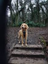 To cheer me up with photos of your pet? The first photo you have and the last?