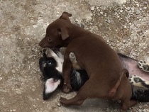 🐌 Fantastic Skincare: Happy Snail Year, Bring Spoons!