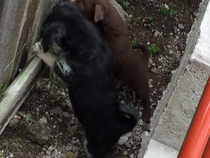 🐌 Fantastic Skincare: Happy Snail Year, Bring Spoons!