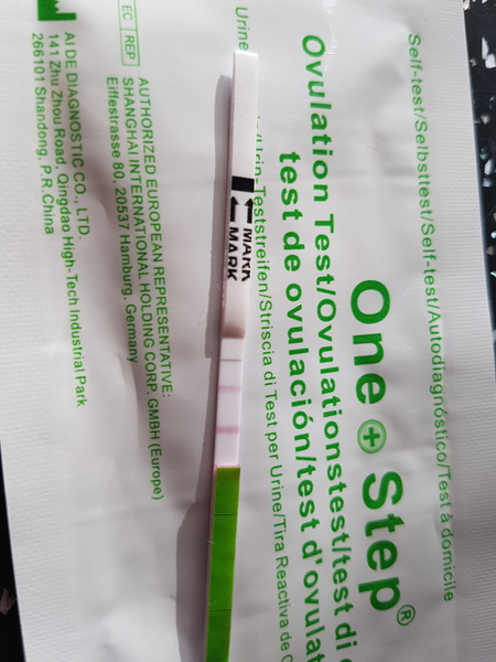 TTC after pregnancy loss. Thread 16. New Year, new hope for all!