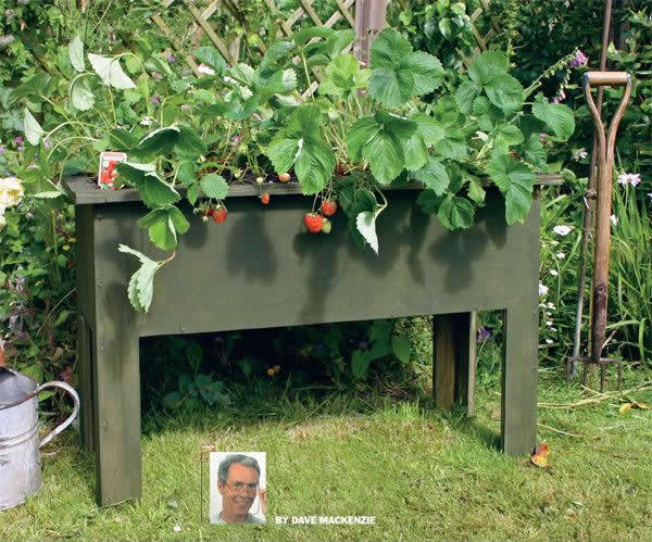To Ask you help me plan my garden?